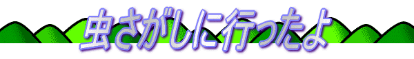 ɍs