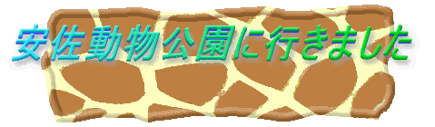 ɍs܂